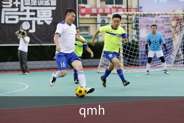 qmh公司介绍
